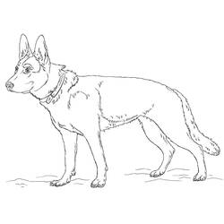 Dessin à colorier: Berger Allemand (Animaux) #214078 - Coloriages à Imprimer Gratuits