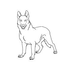Dessin à colorier: Berger Allemand (Animaux) #214084 - Coloriages à Imprimer Gratuits