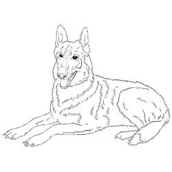 Dessin à colorier: Berger Allemand (Animaux) #214094 - Coloriages à Imprimer Gratuits