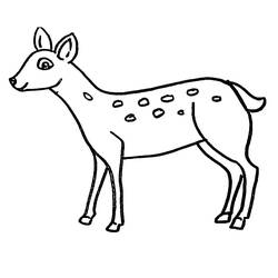 Dessin à colorier: Biche (Animaux) #191094 - Coloriages à Imprimer Gratuits