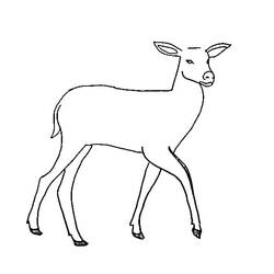 Dessin à colorier: Biche (Animaux) #191110 - Coloriages à Imprimer Gratuits
