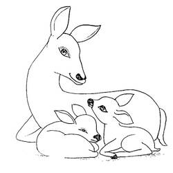 Dessin à colorier: Biche (Animaux) #191111 - Coloriages à Imprimer Gratuits