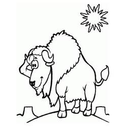 Coloriage Bison (Animaux) #205520 à imprimer et colorier