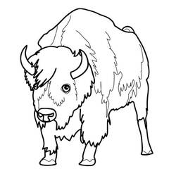 Coloriage Bison (Animaux) #205541 à imprimer et colorier