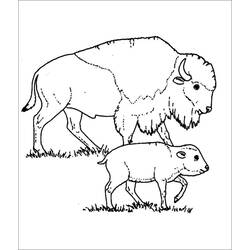 Dessin à colorier: Bison (Animaux) #205546 - Coloriages à Imprimer Gratuits