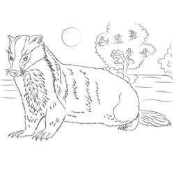 Dessin à colorier: Blaireau (Animaux) #208847 - Coloriages à Imprimer Gratuits