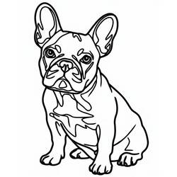 Dessin à colorier: Bouledogue Français (Animaux) #221198 - Coloriages à Imprimer Gratuits