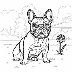 Dessin à colorier: Bouledogue Français (Animaux) #221209 - Coloriages à Imprimer Gratuits