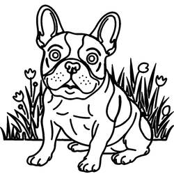 Dessin à colorier: Bouledogue Français (Animaux) #221216 - Coloriages à Imprimer Gratuits
