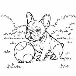 Dessin à colorier: Bouledogue Français (Animaux) #221217 - Coloriages à Imprimer Gratuits