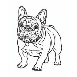 Dessin à colorier: Bouledogue Français (Animaux) #221218 - Coloriages à Imprimer Gratuits