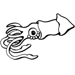 Coloriage Calmar (Animaux) #208862 à imprimer et colorier