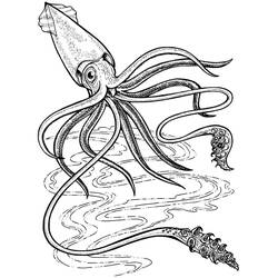 Coloriage Calmar (Animaux) #208864 à imprimer et colorier