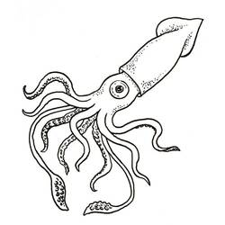 Coloriage Calmar (Animaux) #208871 à imprimer et colorier