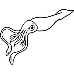 Coloriage Calmar (Animaux) #208872 à imprimer et colorier