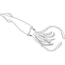 Coloriage Calmar (Animaux) #208876 à imprimer et colorier