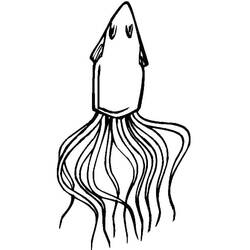 Coloriage Calmar (Animaux) #208877 à imprimer et colorier