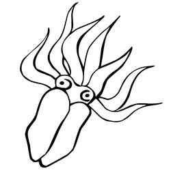 Coloriage Calmar (Animaux) #208879 à imprimer et colorier