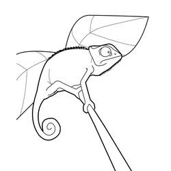Coloriage Caméléon (Animaux) #206720 à imprimer et colorier