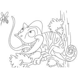 Coloriage Caméléon (Animaux) #206721 à imprimer et colorier