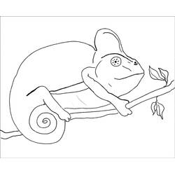Coloriage Caméléon (Animaux) #206722 à imprimer et colorier