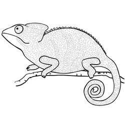 Coloriage Caméléon (Animaux) #206724 à imprimer et colorier