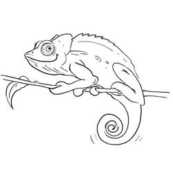 Coloriage Caméléon (Animaux) #206725 à imprimer et colorier