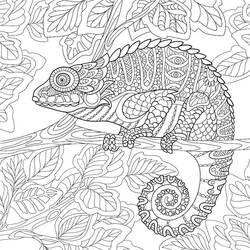 Coloriage Caméléon (Animaux) #206727 à imprimer et colorier