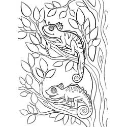 Coloriage Caméléon (Animaux) #206728 à imprimer et colorier