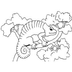 Coloriage Caméléon (Animaux) #206738 à imprimer et colorier