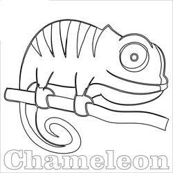 Coloriage Caméléon (Animaux) #206739 à imprimer et colorier