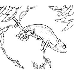 Coloriage Caméléon (Animaux) #206740 à imprimer et colorier