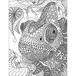 Coloriage Caméléon (Animaux) #206741 à imprimer et colorier