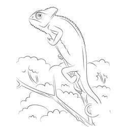 Coloriage Caméléon (Animaux) #206742 à imprimer et colorier