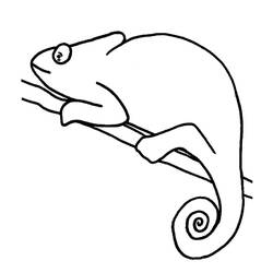 Coloriage Caméléon (Animaux) #206743 à imprimer et colorier