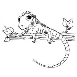 Coloriage Caméléon (Animaux) #206745 à imprimer et colorier