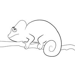 Coloriage Caméléon (Animaux) #206746 à imprimer et colorier
