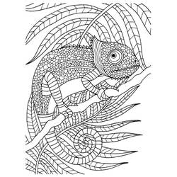 Coloriage Caméléon (Animaux) #206747 à imprimer et colorier