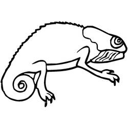Coloriage Caméléon (Animaux) #206749 à imprimer et colorier