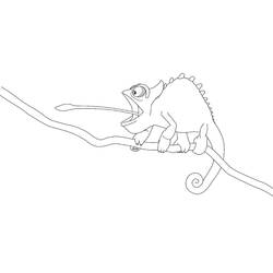 Coloriage Caméléon (Animaux) #206750 à imprimer et colorier