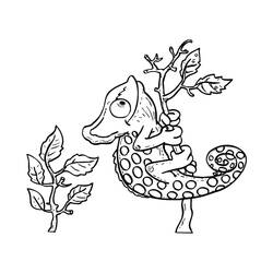 Coloriage Caméléon (Animaux) #206752 à imprimer et colorier