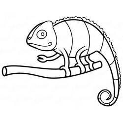 Coloriage Caméléon (Animaux) #206753 à imprimer et colorier