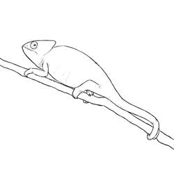 Coloriage Caméléon (Animaux) #206754 à imprimer et colorier