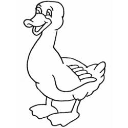 Dessin à colorier: Canard (Animaux) #1524 - Coloriages à imprimer