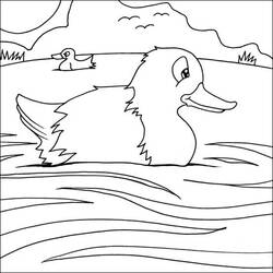 Coloriage Canard (Animaux) #185492 à imprimer et colorier