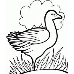Coloriage Canard (Animaux) #185494 à imprimer et colorier