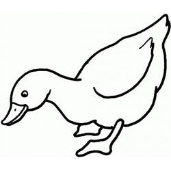 Coloriage Canard (Animaux) #185501 à imprimer et colorier
