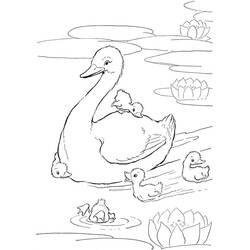 Coloriage Canard (Animaux) #185503 à imprimer et colorier
