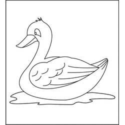Coloriage Canard (Animaux) #185507 à imprimer et colorier