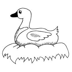 Coloriage Canard (Animaux) #185509 à imprimer et colorier